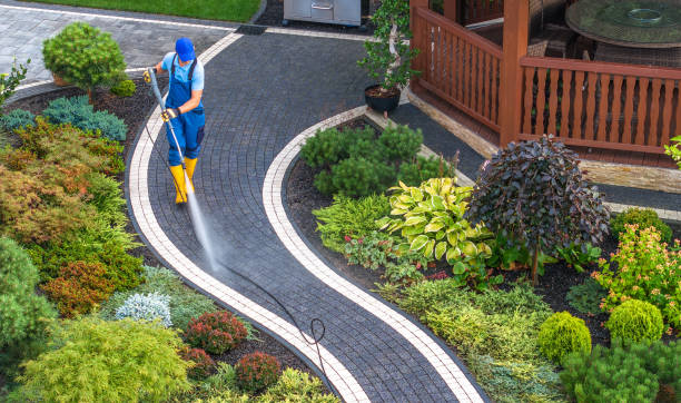 Best Power Washing Near Me  in Reno, NV
